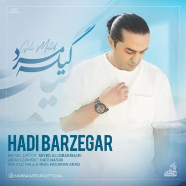 دانلود آهنگ جدید هادی برزگر گیله مرد